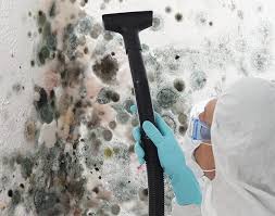 Forensic Mold Investigation in Maury, NC